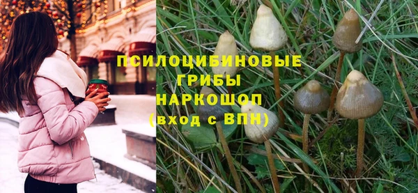 прущая мука Балахна