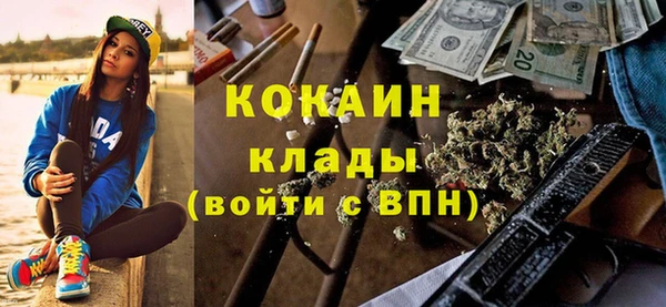 дживик Няндома